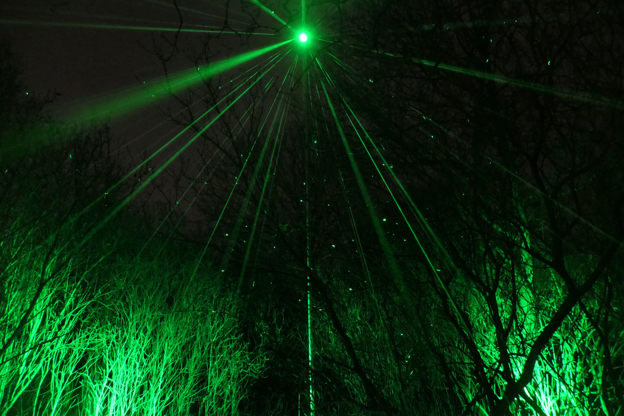 P1021893